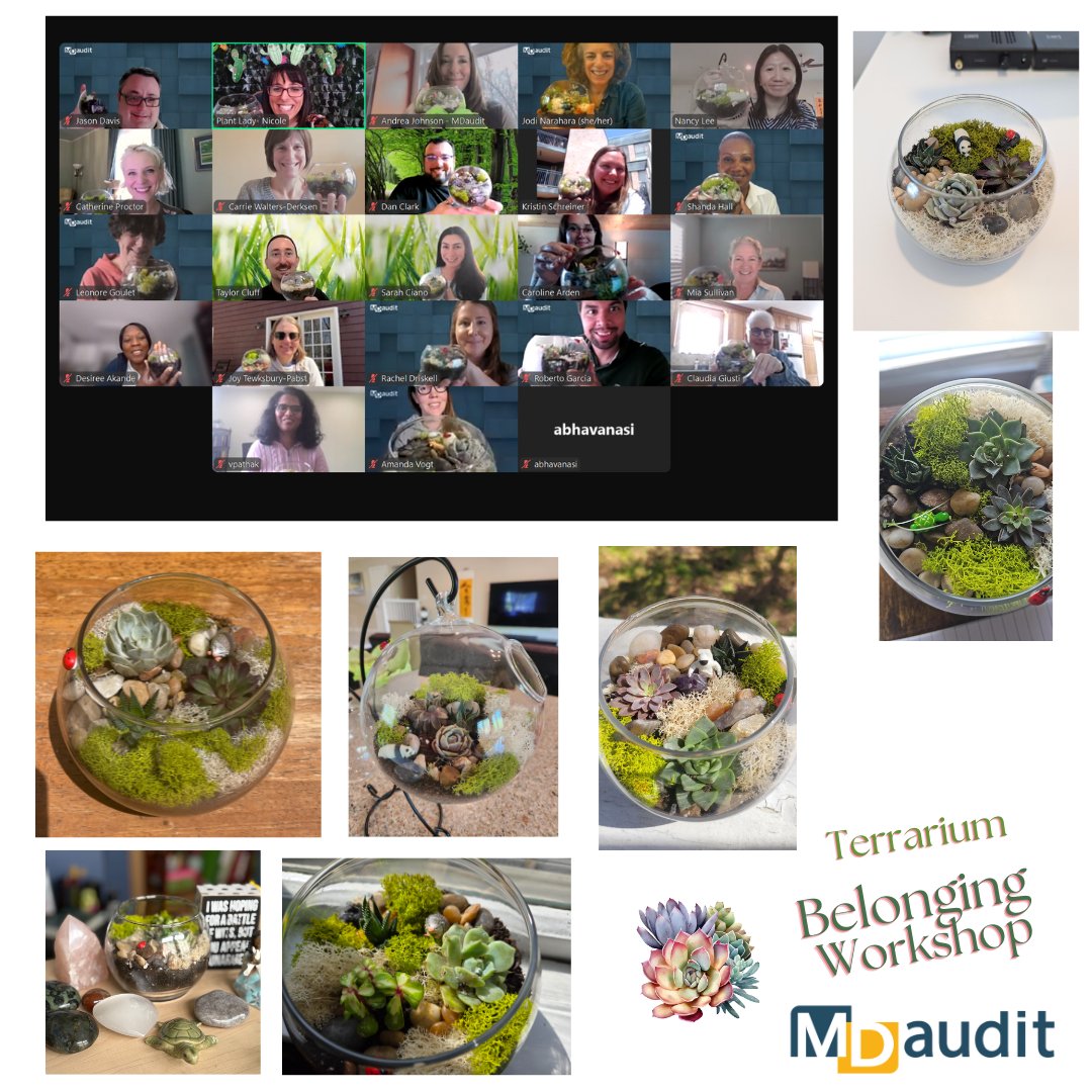 Virtual terrarium-making workshop - mdaudit